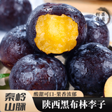 青惠悠正宗陕西黑布林李子酸甜黄肉玫瑰奈李恐龙蛋水果整箱新鲜现摘 3斤中果【硬吃酸爽-软吃香甜】