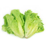 【本地鲜】青浦鲜生菜 400g
