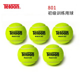 天龙（Teloon）网球训练球进阶初学专业比赛网球耐磨 801初学训练-散装30个送背带手胶