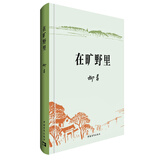 在旷野里 柳青作品 新中国文学史上的遗珠 小说