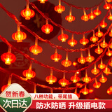 黛莉嘉尔新年红灯笼中国结小彩灯闪灯灯串满天星家用过年春节房间装饰布置