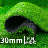 婉和 仿真草坪人造假草皮绿植地毯30mm室外户外阳台家用草坪垫2M*0.5M