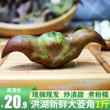 洪湖食客 新鲜菱角 果大肉白 清甜爽口 湖北荆州特产 老菱角1500g