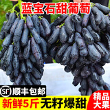 教蔬鲜生【顺丰直达】现摘无籽蓝宝石新鲜葡萄金手指黑美人拇指黑提子 3斤净重单果【10mm-15mm】