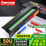 安普康（AMPCOM）电话配线架25口50口语音RJ11超5类网络配线架24口打线48口网线模块镀金CAT5E机柜RJ45网络跳线架 电话50口 1U机架式【线路板式】
