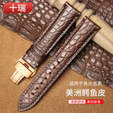 十瑞（SHIRUI）进口美洲鳄鱼皮表带男女适用于浪琴名匠天梭力洛克万国积家欧米茄卡地亚真皮手表带 棕色白线【金色扣】 21mm