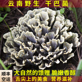 玉燕妃云南新鲜干巴菌 本地小哨干巴菌菇野生菌菇干巴革菌马牙菌送礼 新鲜 干巴菌出口级250g