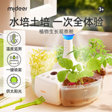 弥鹿（MiDeer）儿童植物观察阳光房种植菜科学手工小实验万物生长-植物观察舱