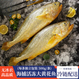 鲜渔翁黄花鱼 500g一条 活冻大黄鱼 生鲜鱼类 海鲜水产 黄鱼年货礼品 大黄花鱼 500g *3条（共1500g）