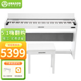 艾茉森（Amason） 珠江钢琴 考级电钢琴88键重锤数码电子钢琴高端手感F13
