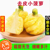 鹿凌青云南泰国小菠萝新鲜当季水果普吉岛去皮削皮迷你凤梨发顺丰 500g 超甜无渣1斤约3到5个