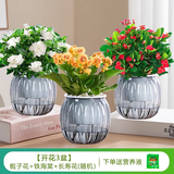 绿有意绿萝箩发财树绿植盆栽花卉室内吸除甲醛桌面水培懒人植物四季好养 开花3盆】栀子花+铁海棠+长寿花
