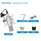 爱克创（Alctron） CM6MKII大振膜电容录音麦克风广播电脑录音主播YY语音录音话筒K歌录音 CM6 MKII悬臂支架套餐 CM6 MKII