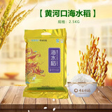 黄河口本来味稻正宗黄河口海水稻大米山东特产 黄河口海水稻 2.5kg*1袋