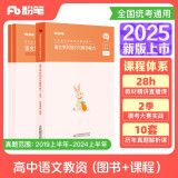 粉笔教资2025高中语文套装3本教师资格证考试用书（教材+历年真题）