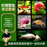 云峰海瑞黑壳虾清洁虾观赏虾活体淡水 鱼缸水族箱水草缸清洁除藻淡水宠物 虾螺蟹鱼清洁套餐