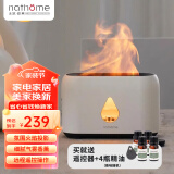 北欧欧慕（nathome） 香薰机仿真火焰加湿器卧室家用办公室夜灯桌面迷你低噪空气增湿机送好友礼物NJH18送女友礼物 三档定时 远程遥控【冰川白+精油4瓶】