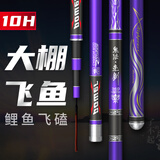鬼法 新款暴力飞磕鱼竿9H10H超硬黑坑大棚竿扣边短竿手竿钓鱼竿鲤鱼竿 2.7m 亮剑10H