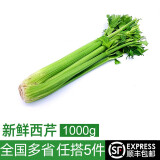 绿食者 新鲜西芹1000g 大芹菜 洋芹菜 健康轻食蔬菜