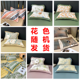彼加曼抗菌枕头套 仿天丝枕套48*74cm 冰丝枕套 磨毛纯色枕套 枕头套 天丝枕套 花色随机48*74cm 一对装