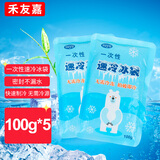 禾友嘉一次性自冷冰袋 加厚升级版母乳保鲜户外食品海鲜冷藏冰包100g*5