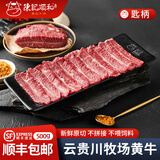 陈记顺和 新鲜黄牛吊龙肉生牛肉潮汕火锅烧烤食材牛肉生鲜 匙柄500g