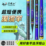 浮烟山短节鱼竿溪流竿超轻超硬超细野钓便携手杆鲫鱼竿 青龙28调6.3米