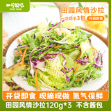 一号农场一号农场开袋即食田园风情混合新鲜蔬菜沙拉包管理期轻食健身代餐 田园风情无酱汁 120g*3袋（开袋即食）