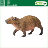 COLLECTA英国CollectA我你他仿真野生动物合集模型玩具认知 88540水豚
