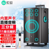 索爱X28广场舞音响户外大音量拉杆蓝牙音箱木质重低音K歌无线麦克风话筒室外乐器吉他专业演出音响 12寸（11喇叭T30）+1支话筒