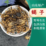 康裕尊  蜈蚣蜈蚣干蜈蚣13-21厘米均有售 另售蝎子全虫 【蝎子/50g】