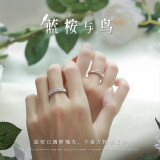 红妆诺 定情礼物送男女友纪念日情侣戒指一对可调节学生对戒送对象礼物 B5Y304蓝桉已遇释槐与鸟情侣戒指