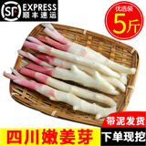 辰实【现挖发顺丰】四川嫩姜 新鲜生姜 红芽仔姜 子姜泡醋姜 四川嫩姜牙5斤
