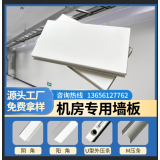 机房专用防静电墙板墙面彩钢板金属复合钢制护墙板圣戈班石膏板 白色06