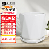 九千谷陶瓷花盆家用吊兰蝴蝶兰绿萝带托盘个性简约V纹亮白大号1个装3758