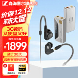 森海塞尔（Sennheiser）IE900/IE600/IE300旗舰级HIFI高保真超宽单动圈单元可拆卸MMCX挂耳式耳机 高保真发烧有线耳机耳塞 IE300+山灵UA4银色 便携耳放