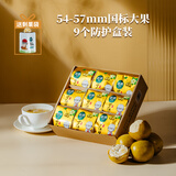 沁漓（QINLI）黄金罗汉果果干罗汉果茶广西桂林特产永福大果低温脱水罗汉果茶 9个54-57mm大果防护盒装