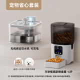 PAPIFEED宠物智能全自动喂食器猫咪狗狗自动猫粮喂食机投喂器wif定时定量 视频款6L-WiFi+无线饮水机