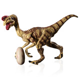 玛奇乐（MECHILE）仿真恐龙玩具动物模型静态摆件霸王龙迅猛龙剑龙三角龙翼龙棘龙 窃蛋龙