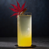 酒吧灵魂 鸡尾酒杯套装 百款无铅水晶玻璃杯调酒杯 专业酒吧杯子 马天尼杯 水晶超薄直身杯 370ml