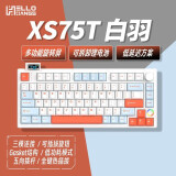 HELLO GANSS XS75T/98T客制化三模机械键盘低延迟超省电翻转屏gasket结构热插拔 XS 75T白羽 KTT 风信子轴（厂润）