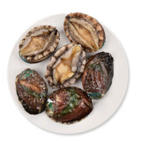 鲜京采鲜京采 鲜活小鲍鱼6个装共108g+ 单只18g起 海鲜水产 贝壳类活鲜