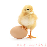 散养红瑶土鸡种蛋受精蛋可孵化小鸡食用受精卵新鲜高产鸡蛋10枚