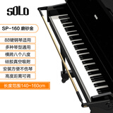 SOLO弹钢琴手型矫正器防塌折指手腕纠正器辅助儿童练琴神器支架撑 金色 钢琴手型矫正-磨砂【140-160CM】