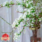 花友 水培雪柳鲜枝水养植物雪柳干枝水插花干枝水养易活观叶客厅 雪柳75-85CM高20支不含瓶