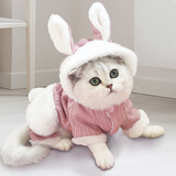 华元宠具（hoopet）猫咪衣服幼猫可爱四脚装冬季冬天保暖布偶猫无毛猫衣服宠物防掉毛 粉色兔耳朵四脚装-带绒款 XL-(建议12-15斤)
