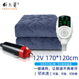 科思兰（COSYLAND） 车载电热毯单人12V户外露营24伏大货车电褥子双人USB房车加热毯 12V多功能【双控】170cm*120cm