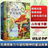 鲁滨逊漂流记 爱丽丝漫游奇境（又名爱丽丝梦游仙境）快乐读书吧 六年级下册 套装2册 