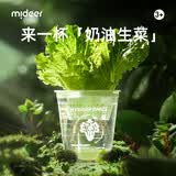 弥鹿（MiDeer）儿童植物种植观察窗阳光房小盆栽玩具小学生幼儿园暑假生日礼物 【水培款1】水培生菜-送营养粉