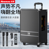 纽曼N519 12英寸大功率重低音广场舞音响移动家用户外K歌蓝牙拉杆便携式音箱扩音器双麦 带适配器